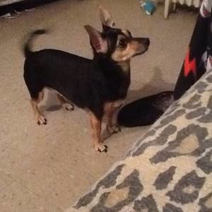 Meet your Posher, Lillian